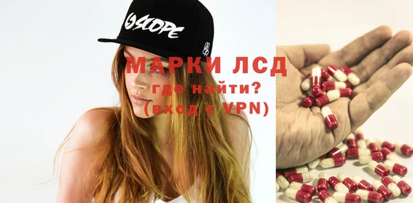 PSILOCYBIN Кукмор