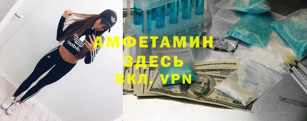 твердый Ладушкин