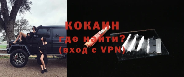 твердый Ладушкин