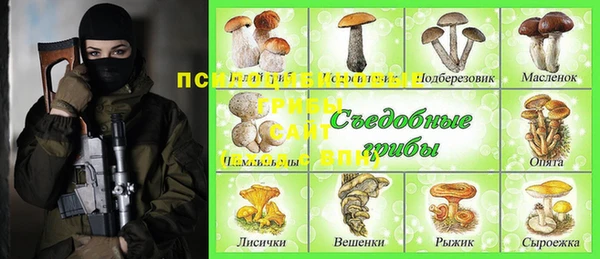 твердый Ладушкин